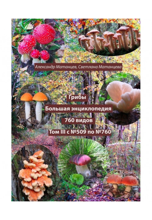 Mushrooms. Big encyclopedia. 760 species. Volume III. From #509 to #760