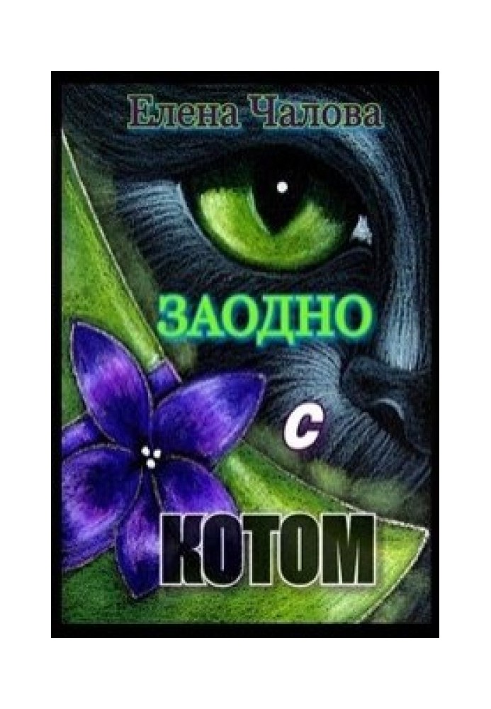 Разом з котом [СІ]