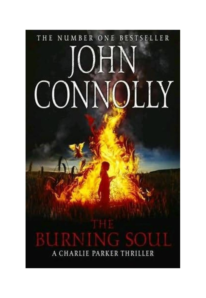 The Burning Soul