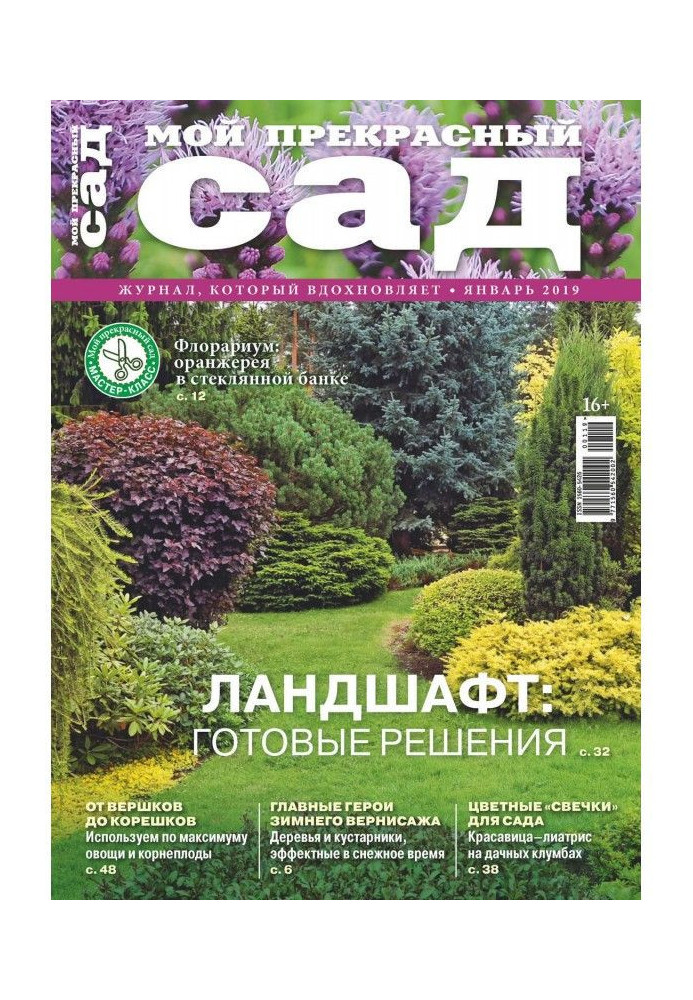 My beautiful garden №01/2019