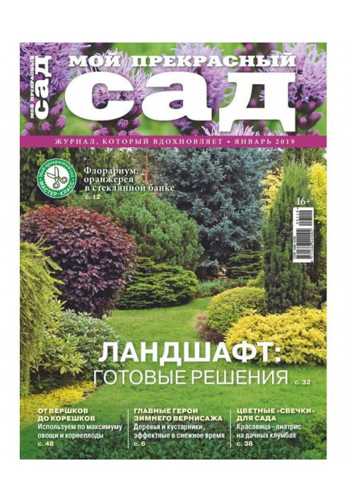 My beautiful garden №01/2019