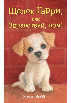 Щенок Гарри, или Здравствуй, дом!