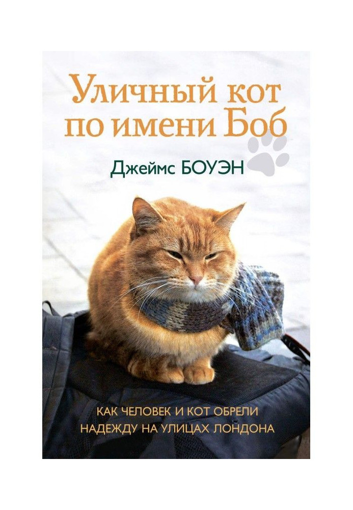 Вуличний кіт на ім'я Боб. Як людина і кіт здобули надію на вулицях Лондона