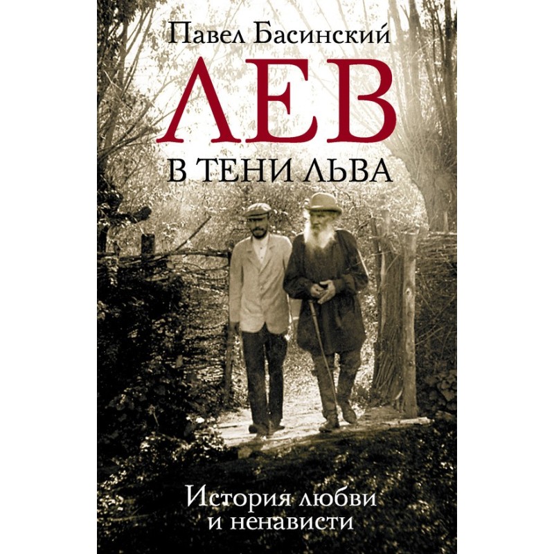 Lion in the shadow of Leo....