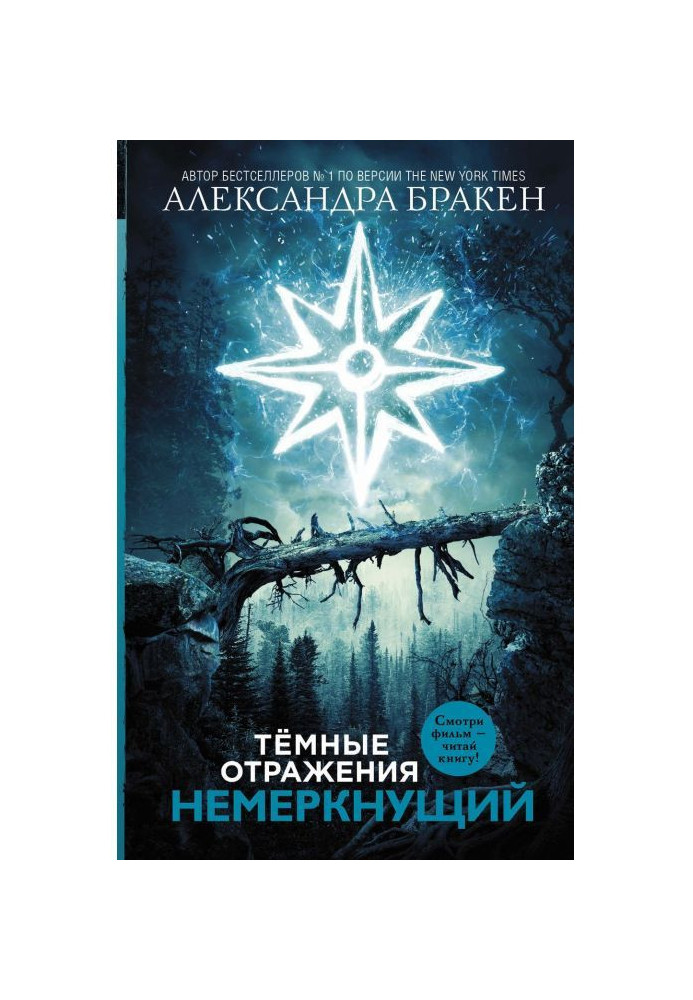 Темные отражения. Немеркнущий