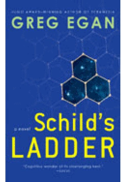 Schild’s Ladder