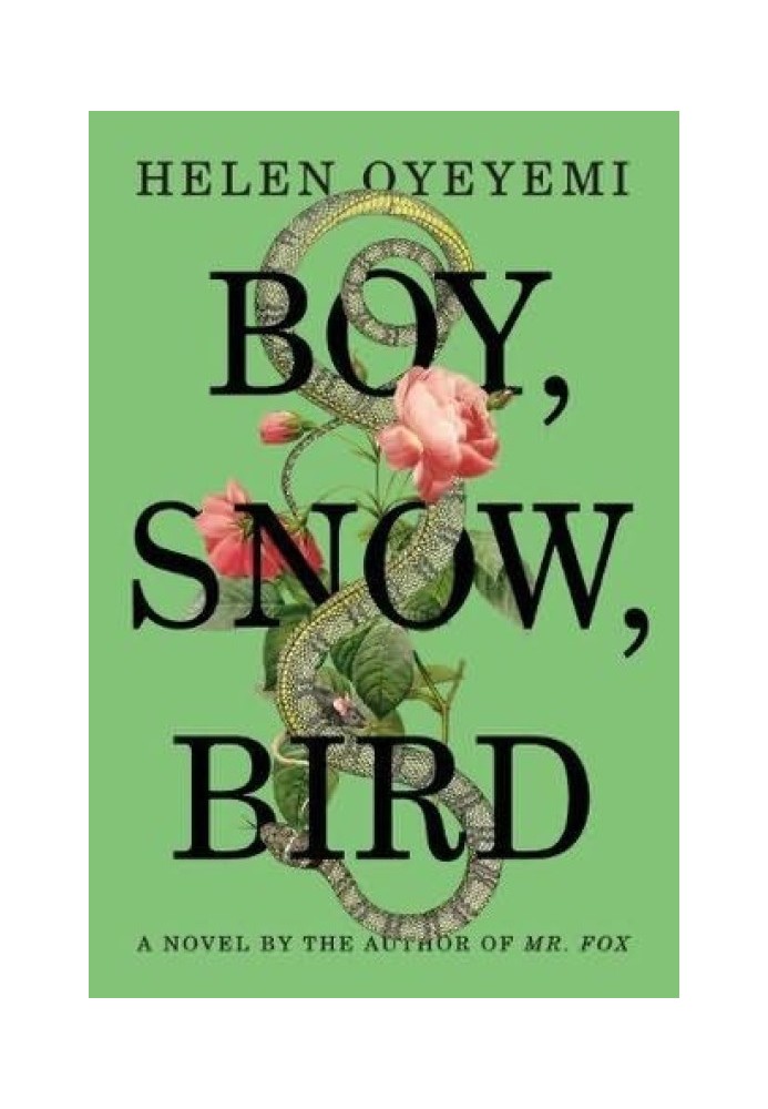 Boy, Snow, Bird