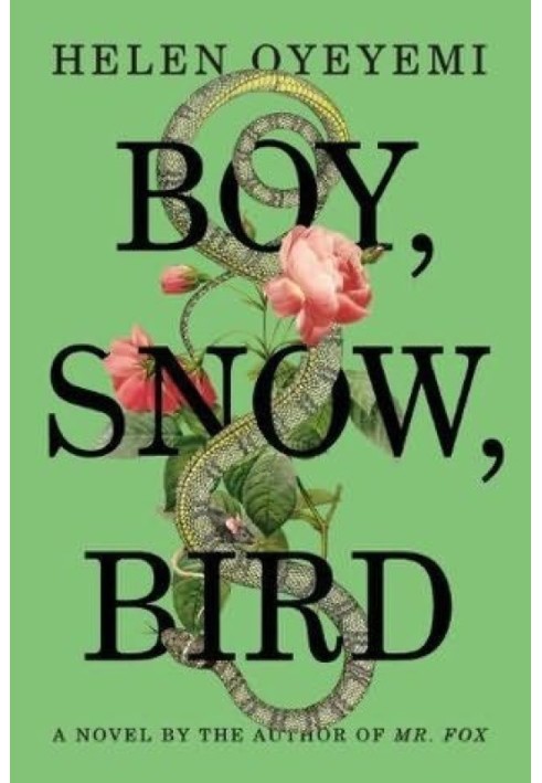 Boy, Snow, Bird