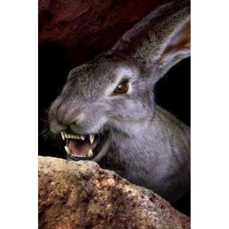 Outsiders are not allowed...