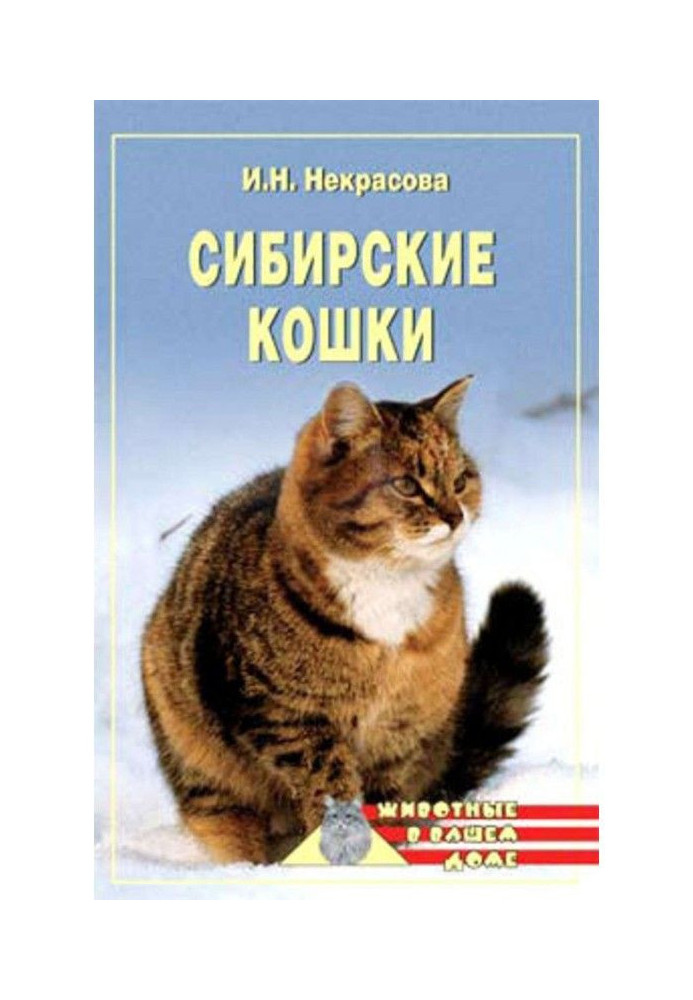 Сибирские кошки