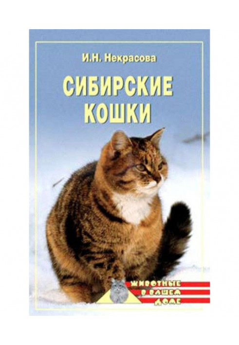 Сибирские кошки