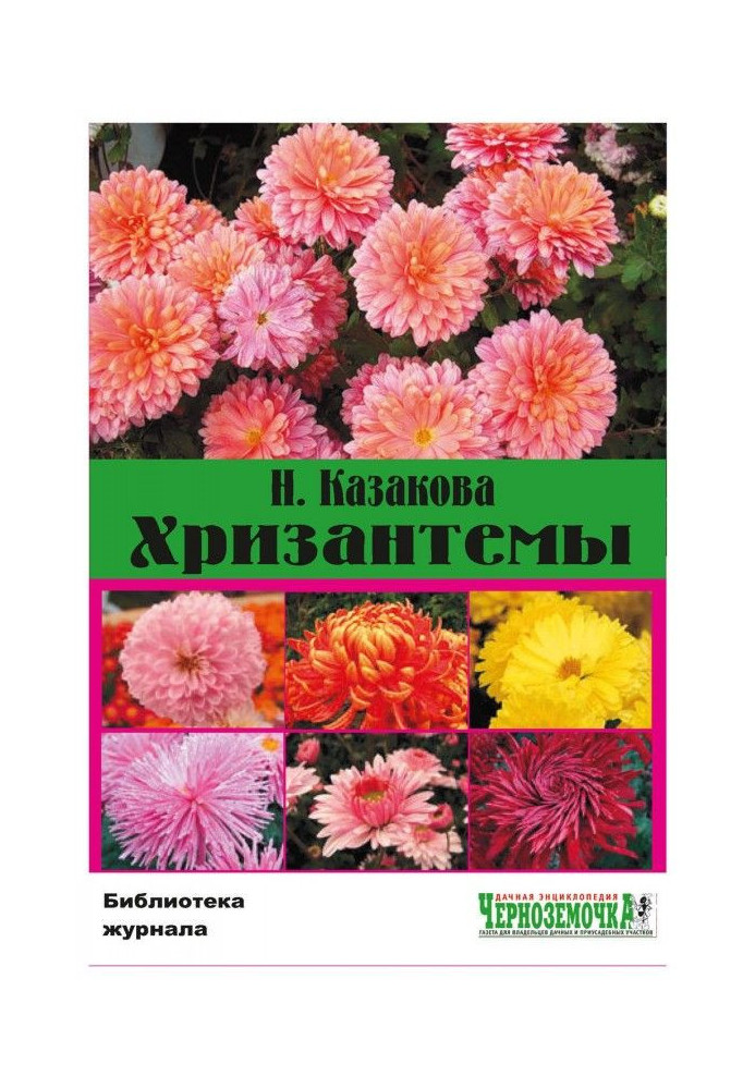 chrysanthemums