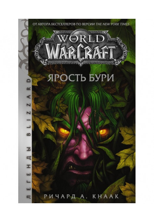 World of Warcraft. Ярость Бури