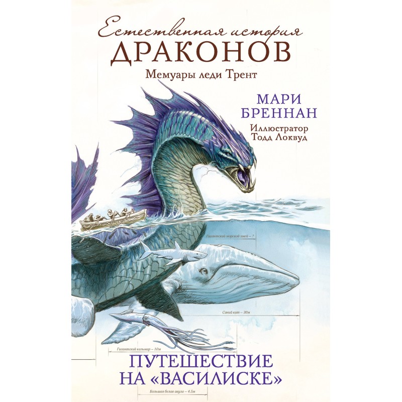 Journey on the Basilisk