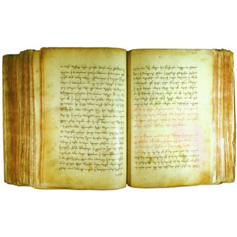 Kartlis tskhovreba. History...