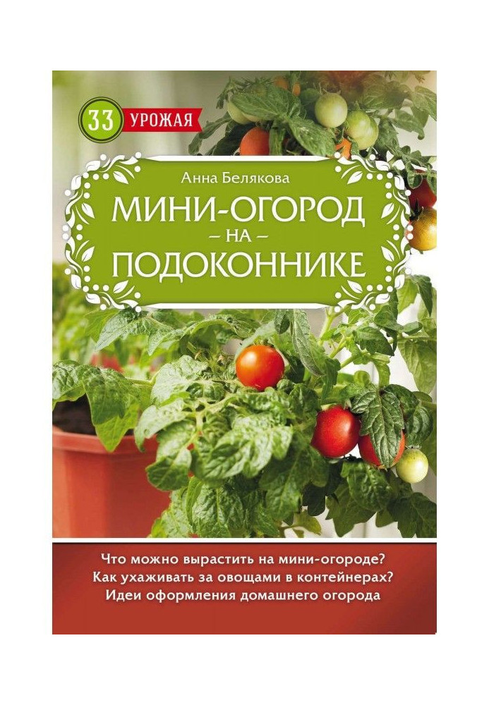 Міні-город на підвіконні