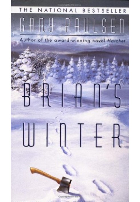 Brian's Winter