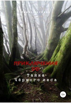 Adventures of DD. The Secret of the Black Forest