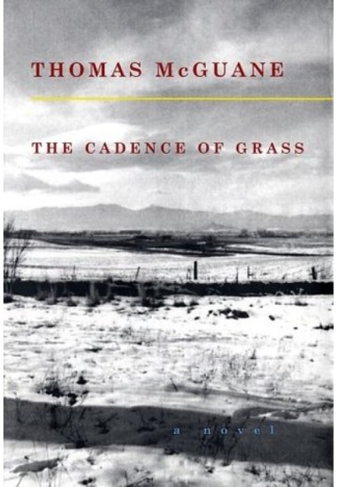 The Cadence of Grass