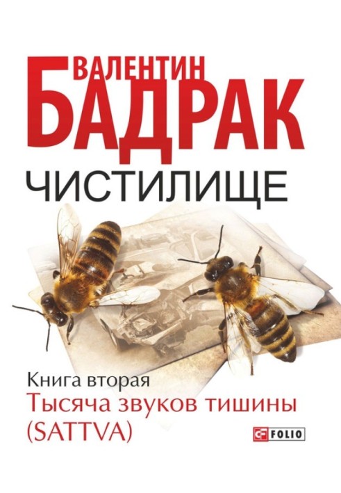 Чистилище. Книга 2. Тисяча звуків тиші (Sattva)