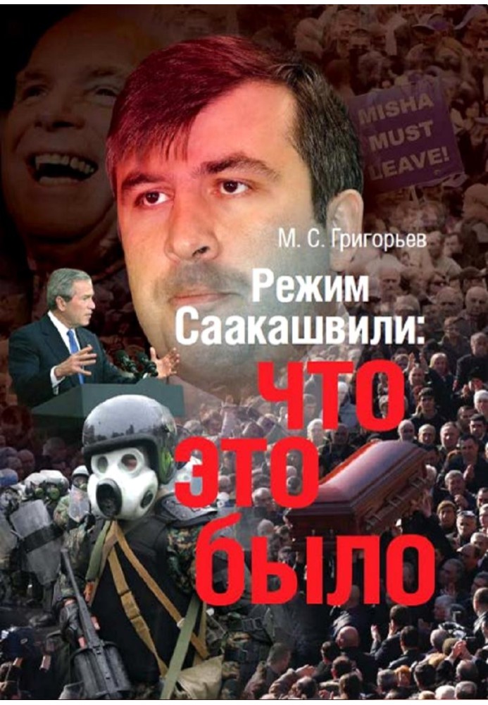 The regime of M. Saakashvili: what was it