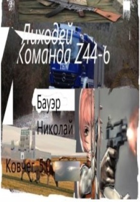 Likhodey - Team Z44-6