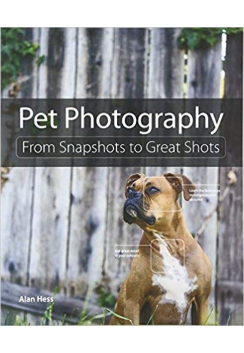 Pet Photography: From Snapshots to Great Shots