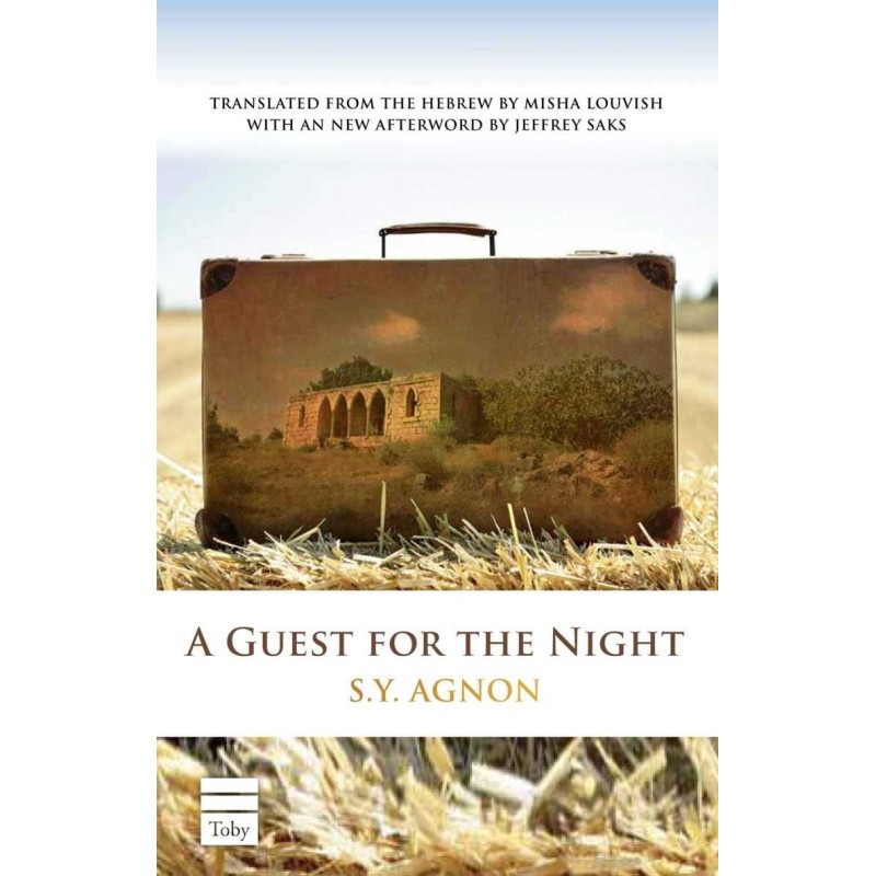 Гость на НОЧЬ