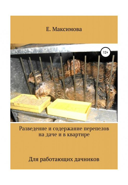 Розведення та утримання перепелів на дачі та у квартирі