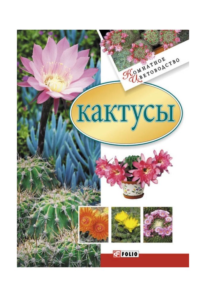 Кактусы