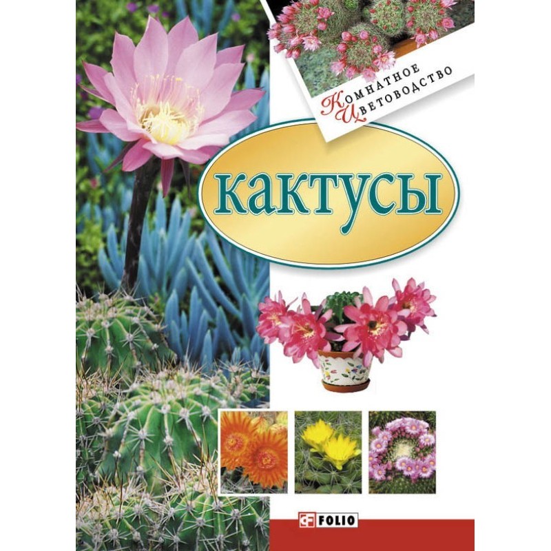 Кактуси
