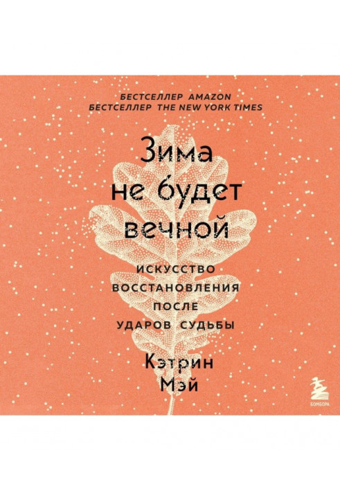 Зима не буде вічною. Мистецтво відновлення після ударів долі