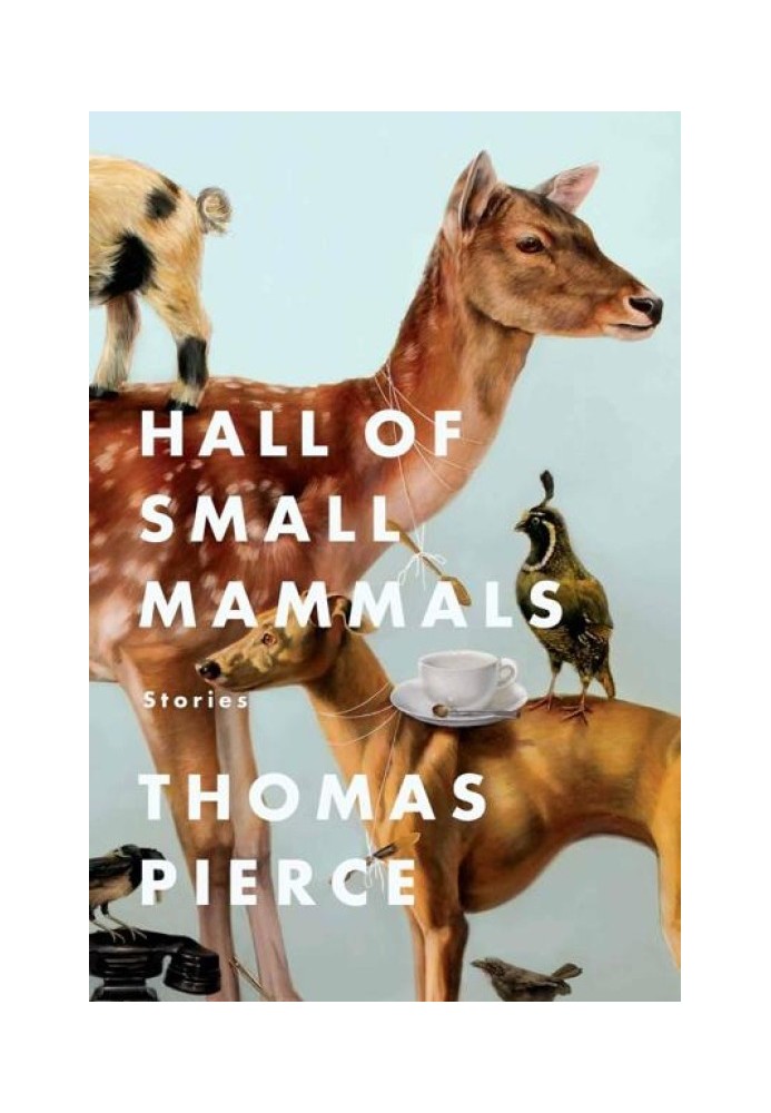 Hall of Small Mammals: Stories