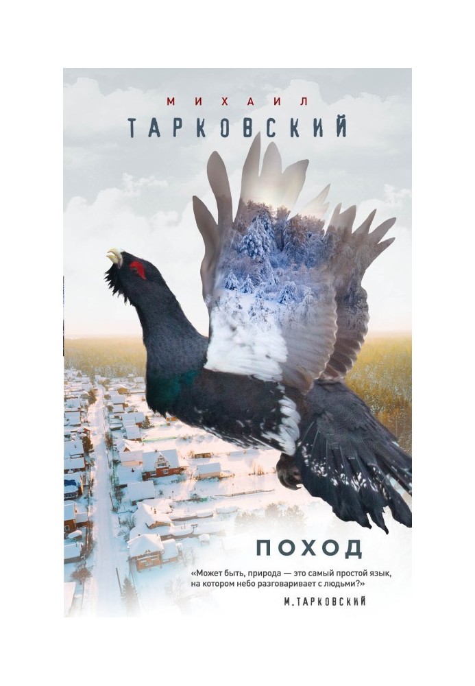 Поход