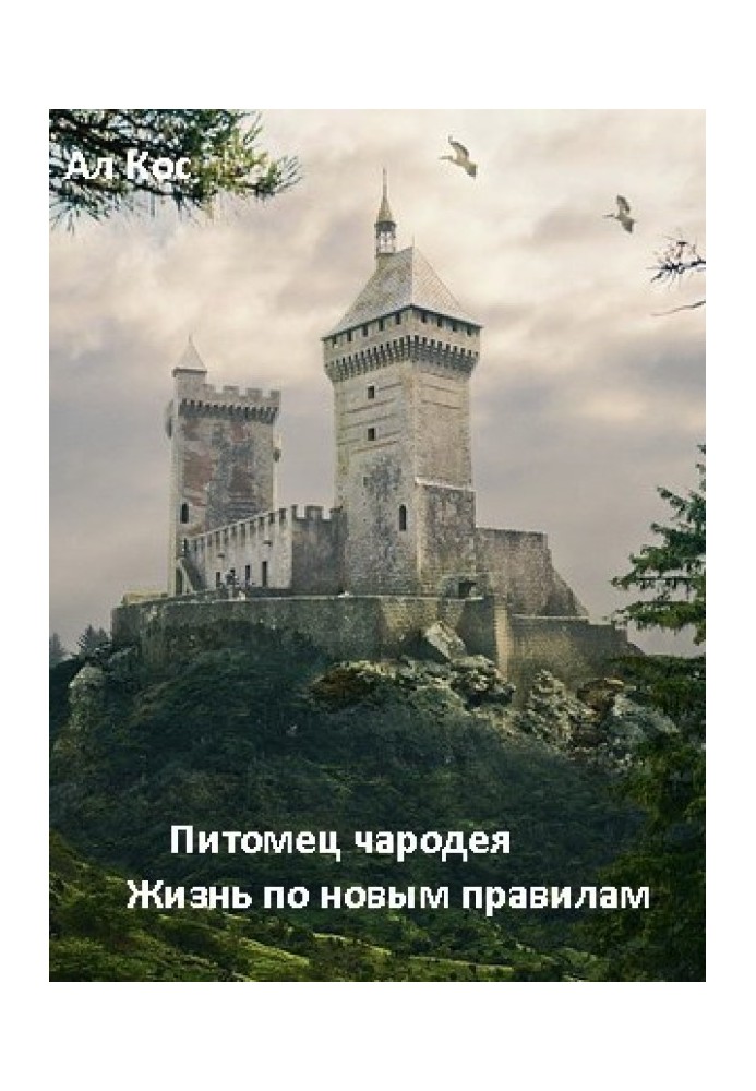 Вихованець чарівника. Життя за новими правилами