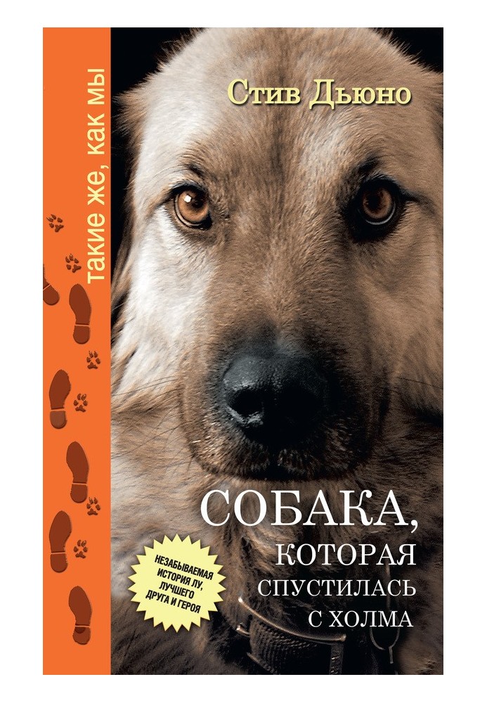 Собака, которая спустилась с холма. Незабываемая история Лу, лучшего друга и героя