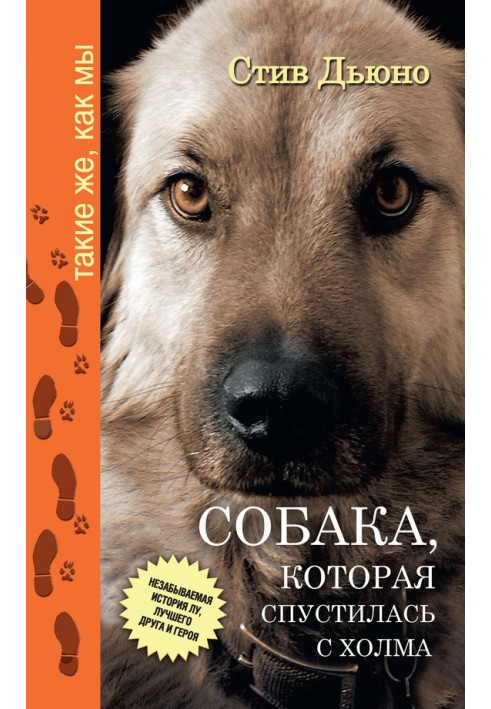 Собака, який спустився з пагорба. Незабутня історія Лу, кращого друга та героя