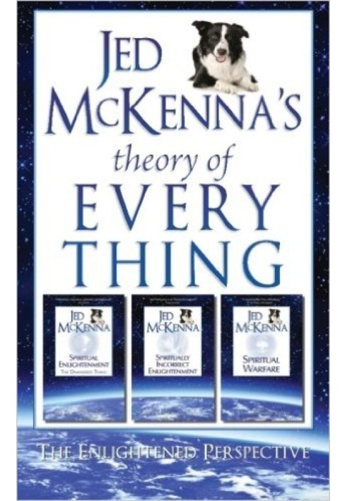 The Theory of Everything Enlightened Perspective