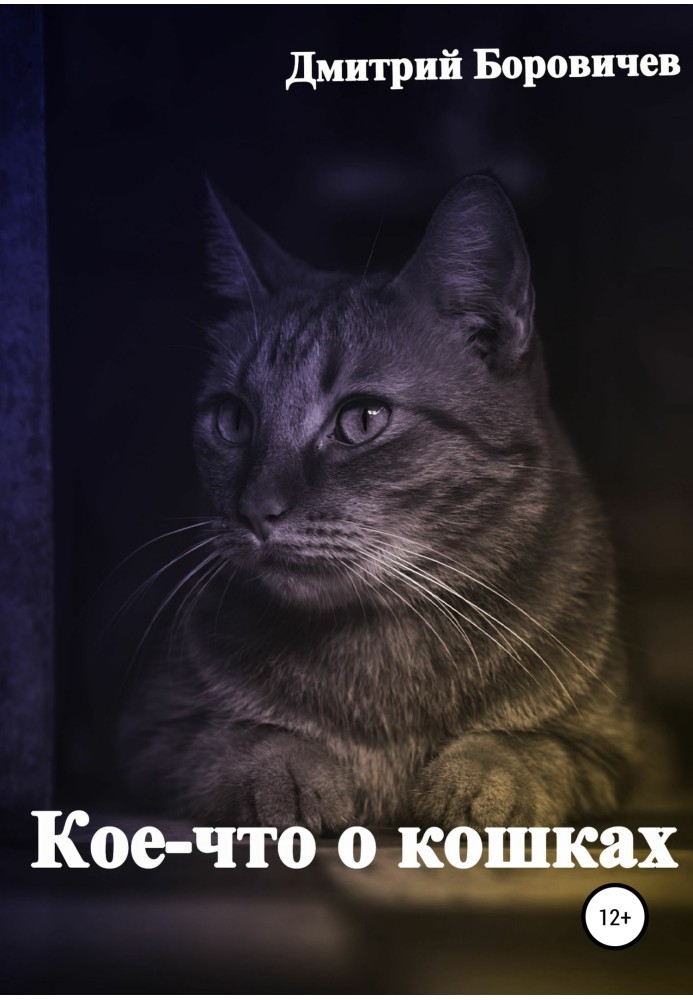 Кое-что о кошках