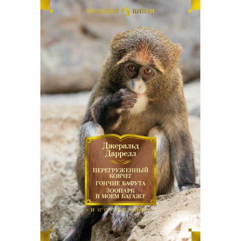 Overloaded ark. Hounds of...