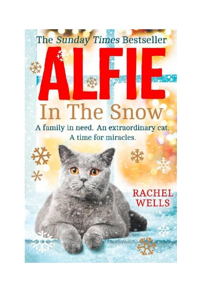 Alfie In The Snow