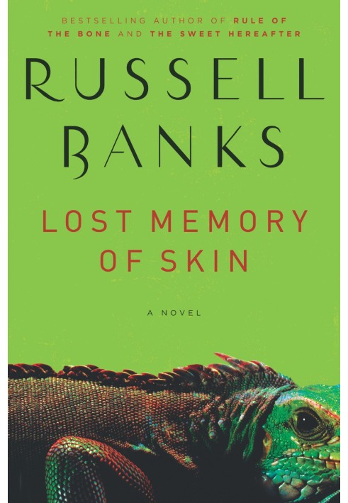 Lost Memory of Skin