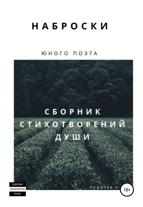 Малюнки юного поета, або Збірка віршів душі