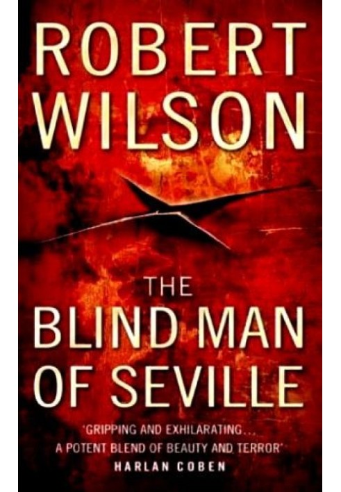 The Blind Man of Seville