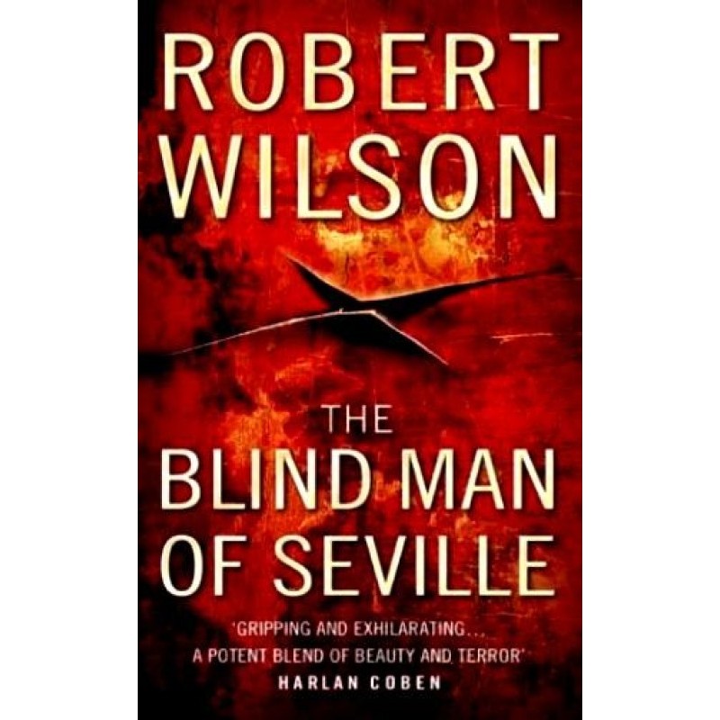 The Blind Man of Seville