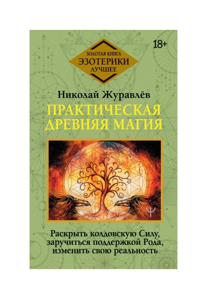 Практическая древняя магия. Раскрыть колдовскую Силу, заручиться поддержкой Рода, изменить свою реальность