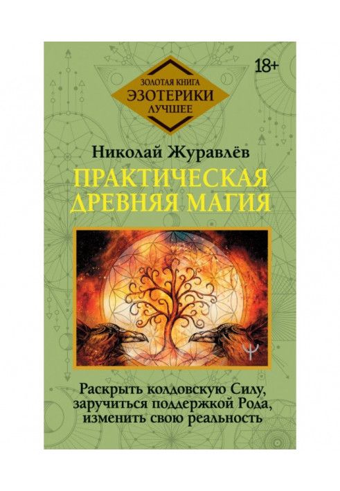 Практическая древняя магия. Раскрыть колдовскую Силу, заручиться поддержкой Рода, изменить свою реальность