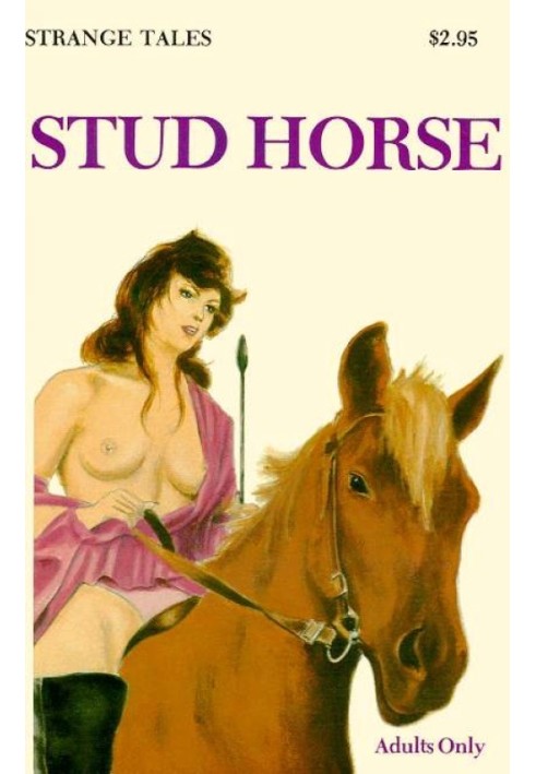 Stud horse