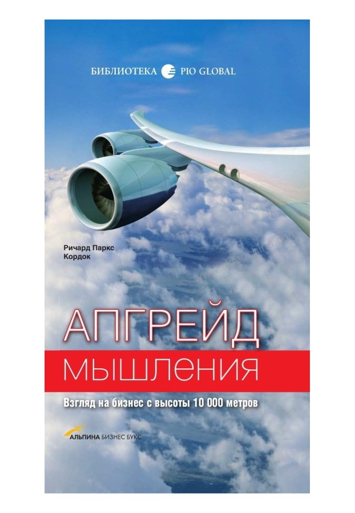 Апгрейд мышления: Взгляд на бизнес с высоты 10 000 метров