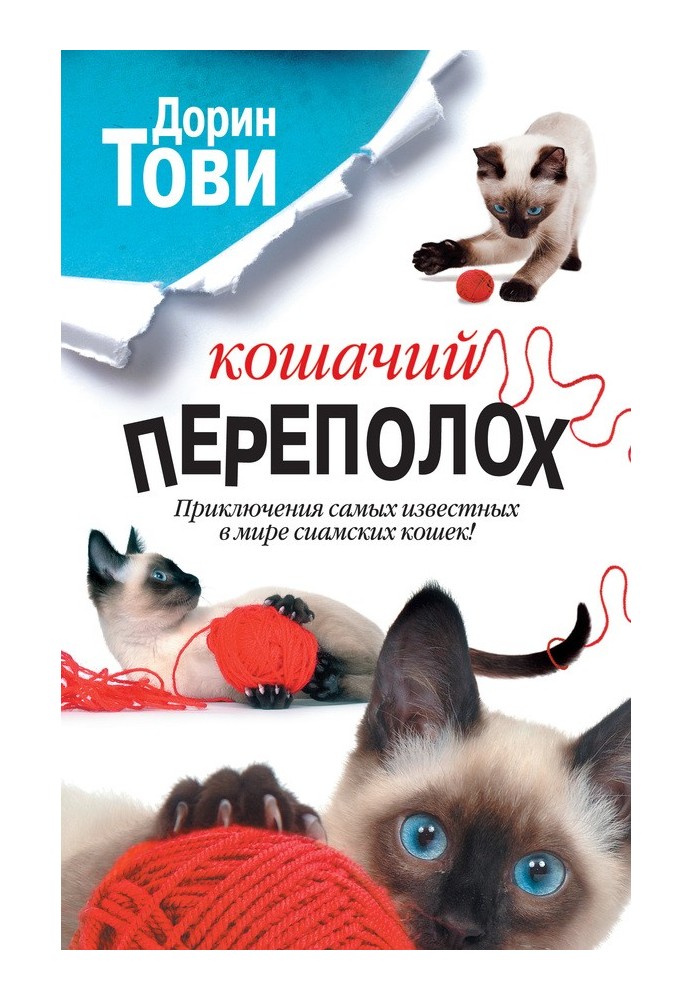 Котячий переполох